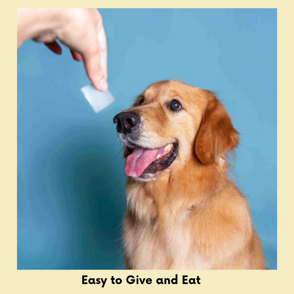 FURLICKS Gut Health Supplements - Oral Strips