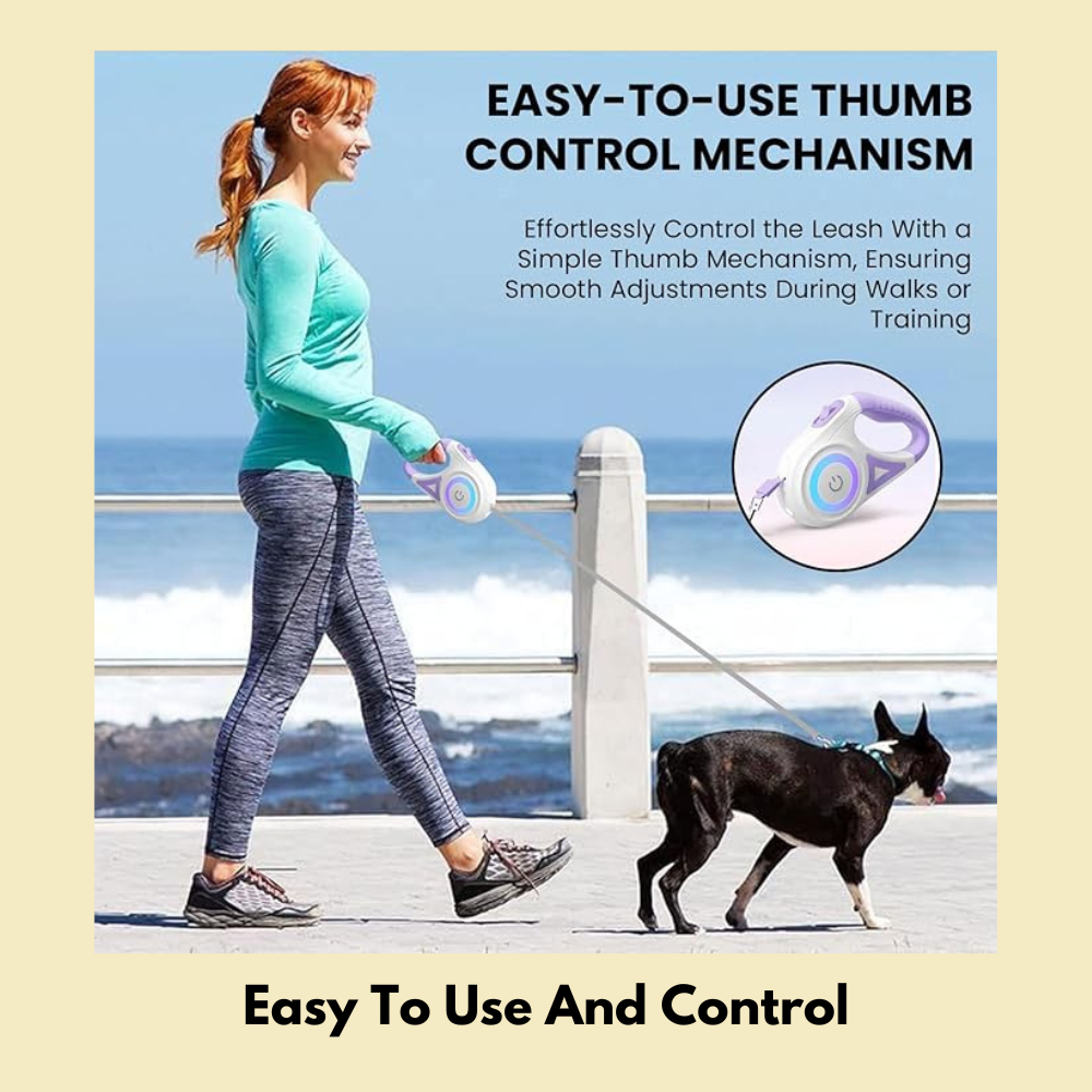 LED Luminous Automatic Retractable Leash for Dogs