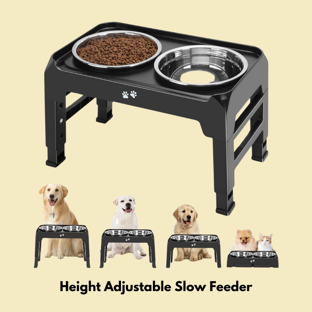 Premium Adjustable Dog Slow Feeder with Bowls