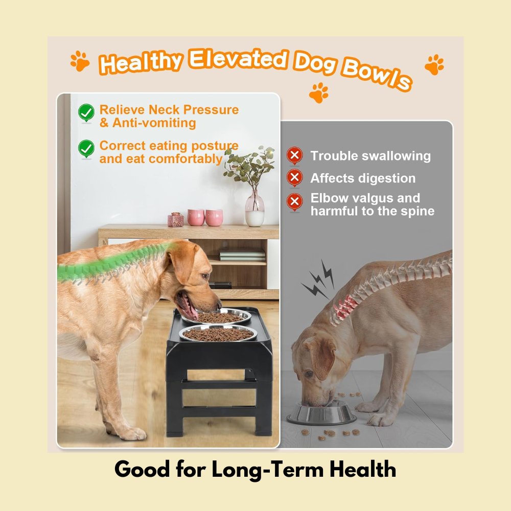 Premium Adjustable Dog Slow Feeder with Bowls