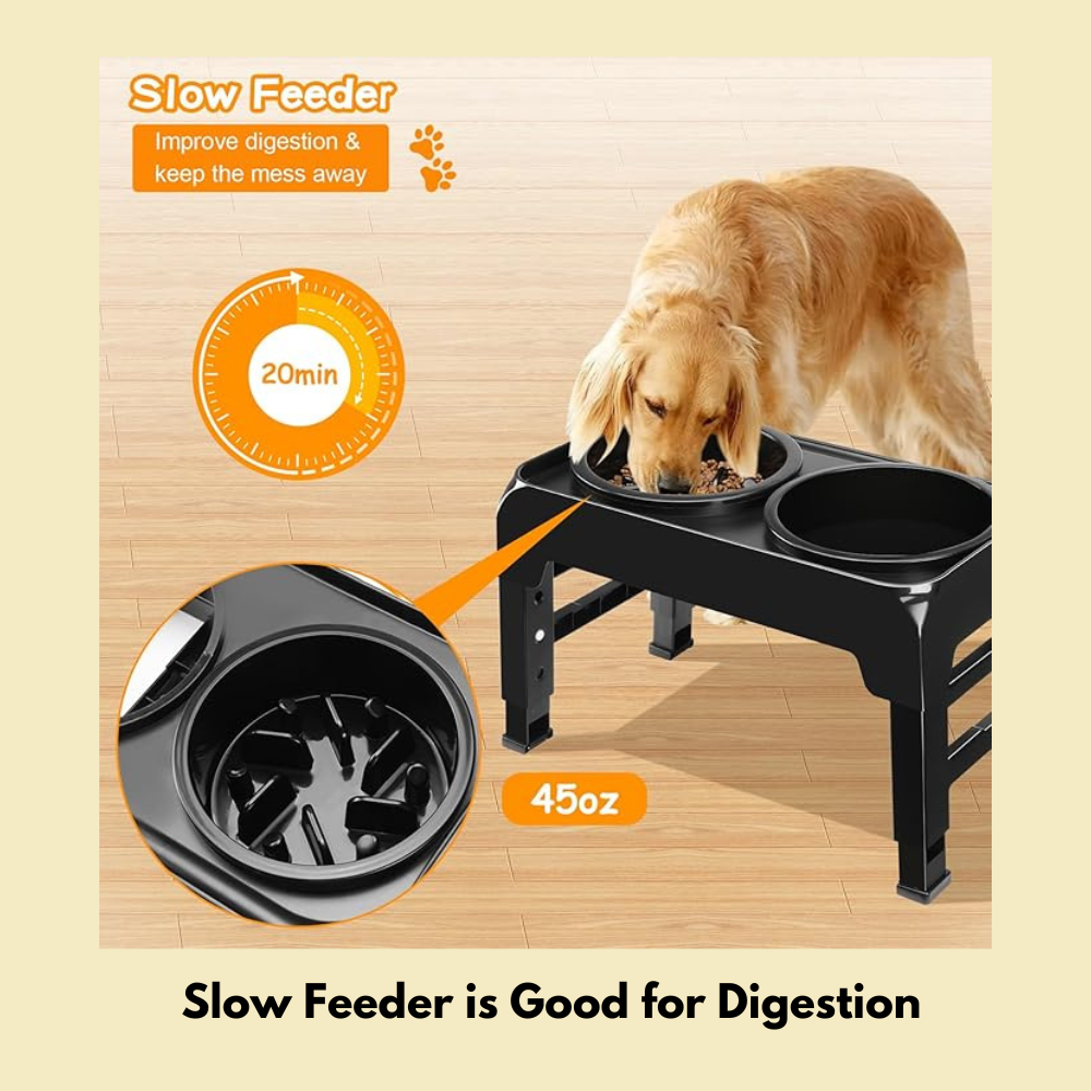 Premium Adjustable Dog Slow Feeder with Bowls