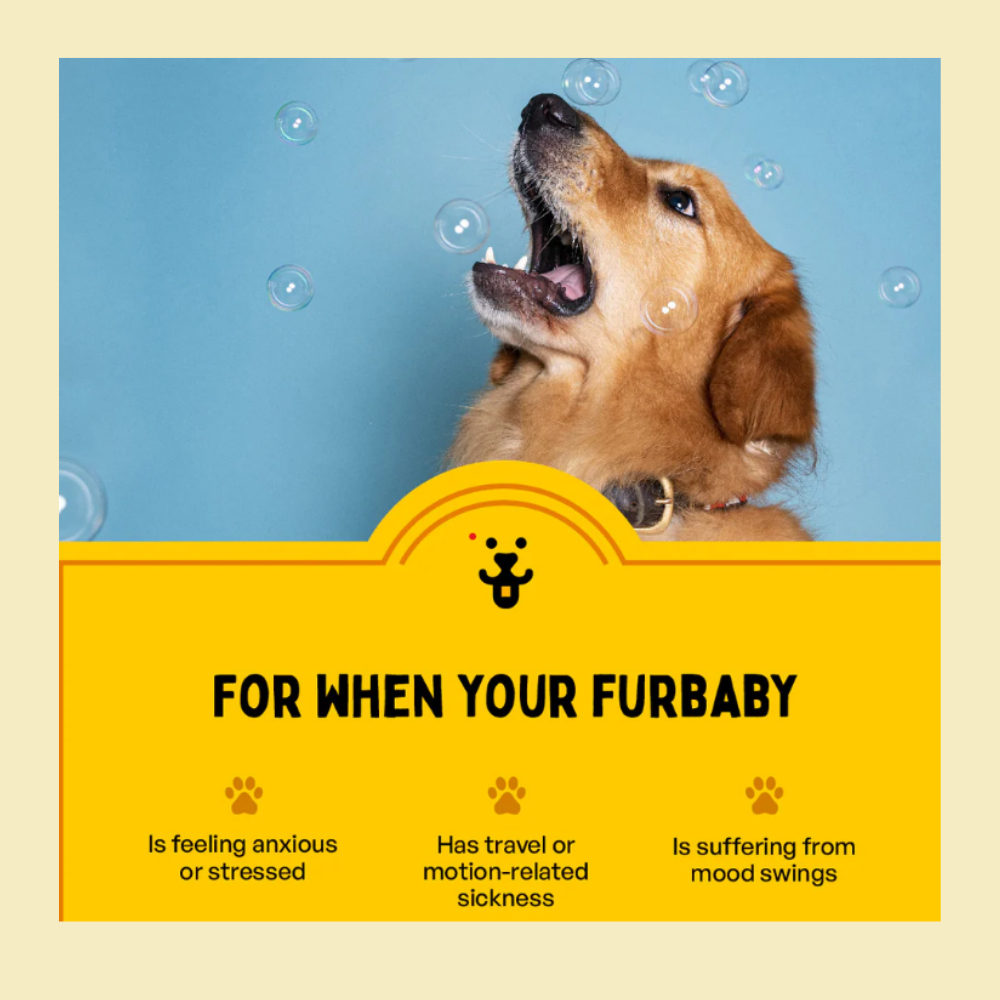 FURLICKS Calming Supplements - Oral Strips