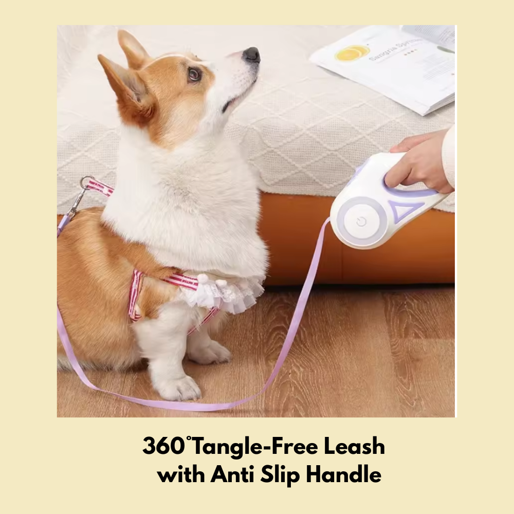 LED Luminous Automatic Retractable Leash for Dogs