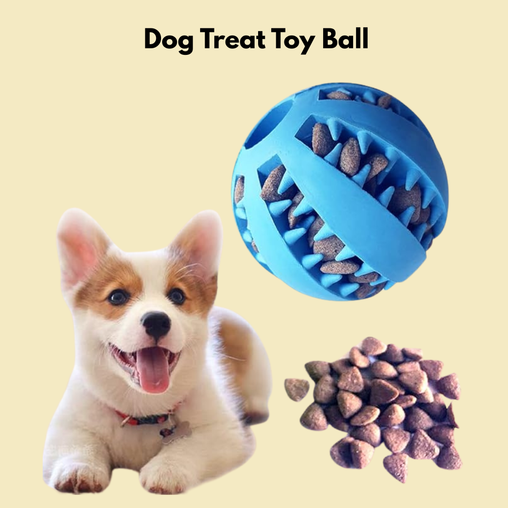 Interactive Treat Holder -Dental Ball