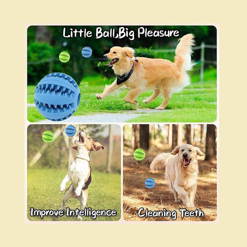 Interactive Treat Holder -Dental Ball