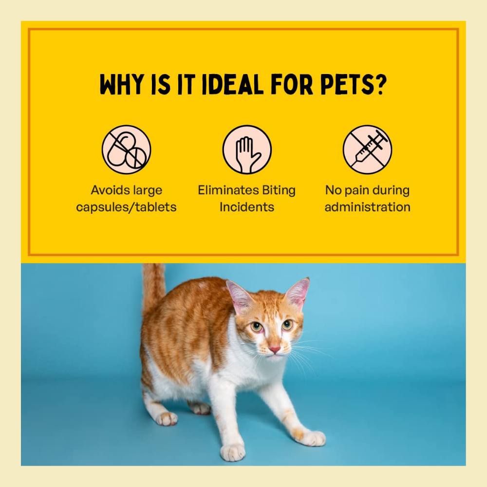 FURLICKS Fresh Breath Supplements - Oral Strips