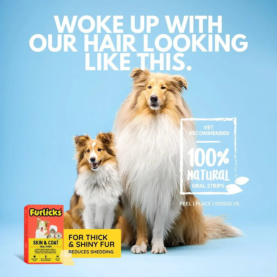 FURLICKS Skin & Coat Supplements - Oral Strips