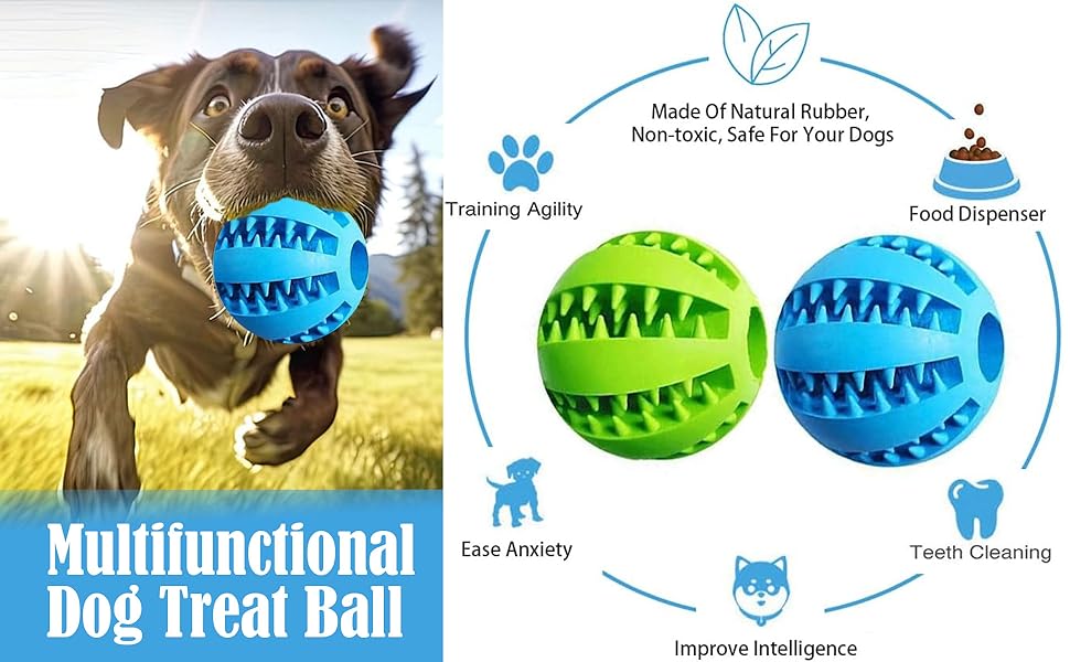 Interactive Treat Holder -Dental Ball