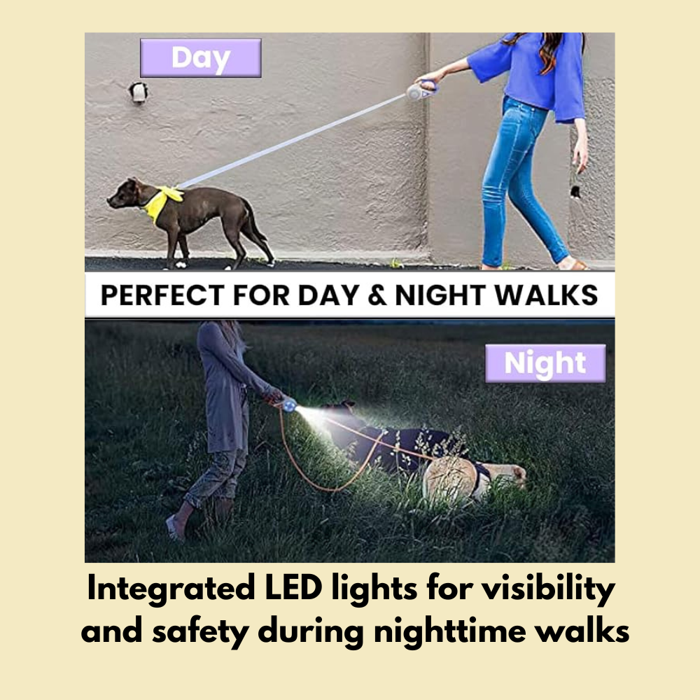 LED Luminous Automatic Retractable Leash for Dogs