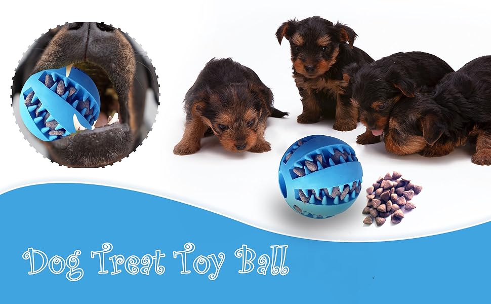 Interactive Treat Holder -Dental Ball