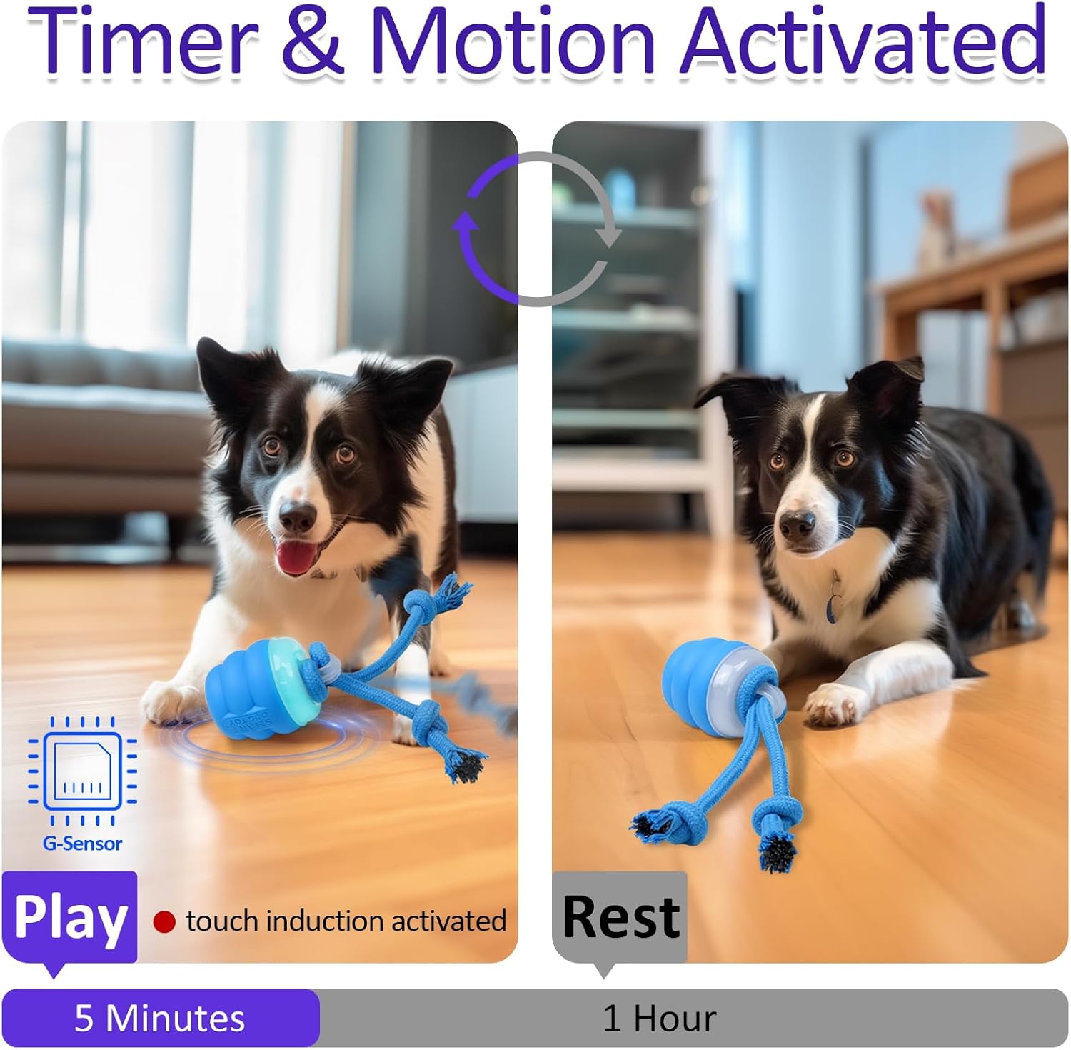 Motion Activated Squeaky Toy