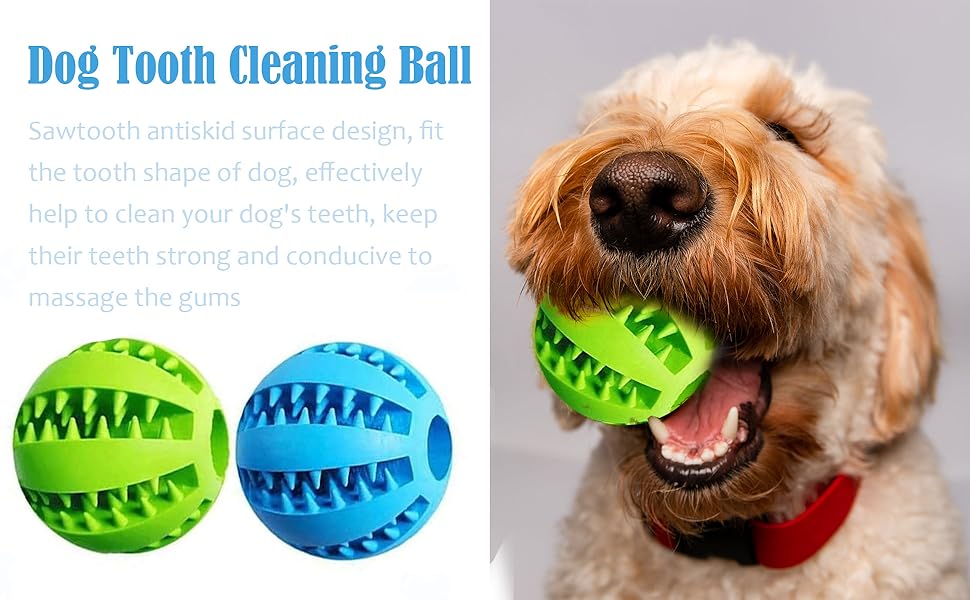 Interactive Treat Holder -Dental Ball