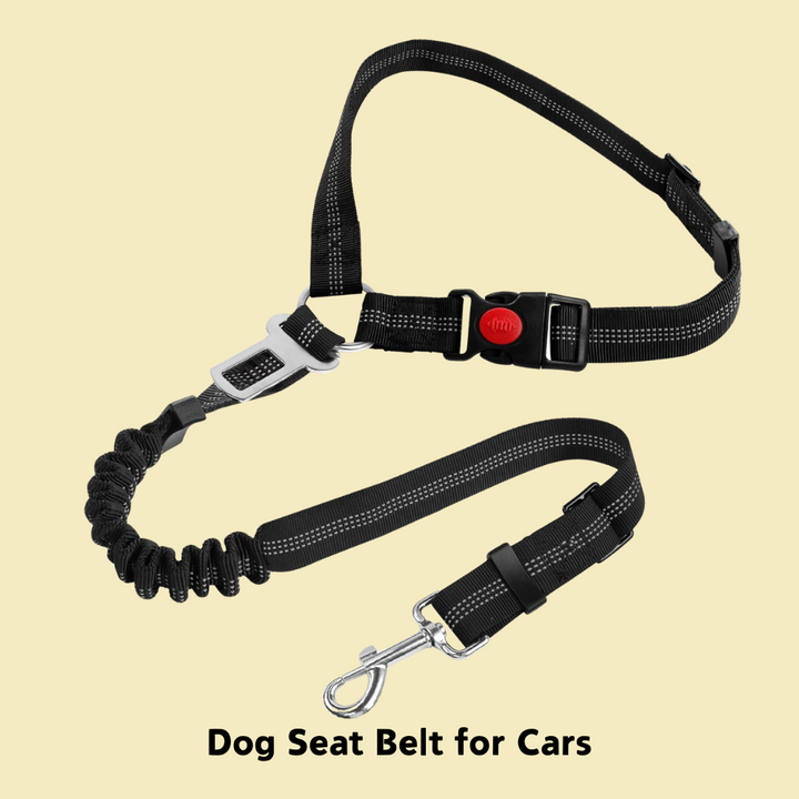 Adjustable Denim Dog Car Seat Safety Belt