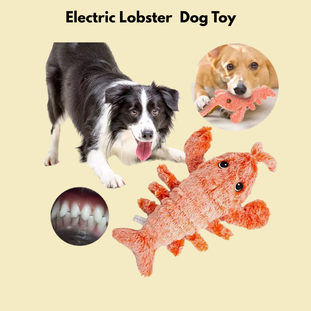 Electric Lobster  Dog Toy- USB Rechargeable