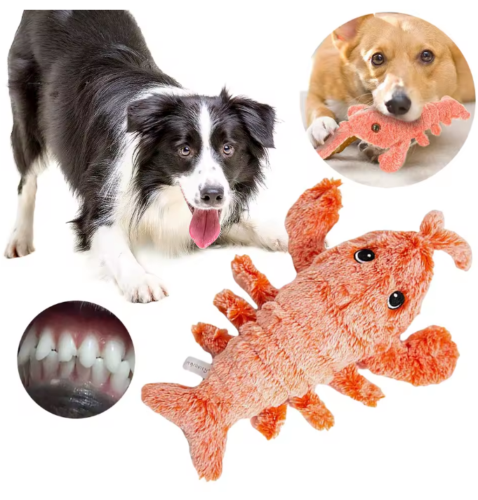 Electric Lobster USB Rechargeable Dog Toy