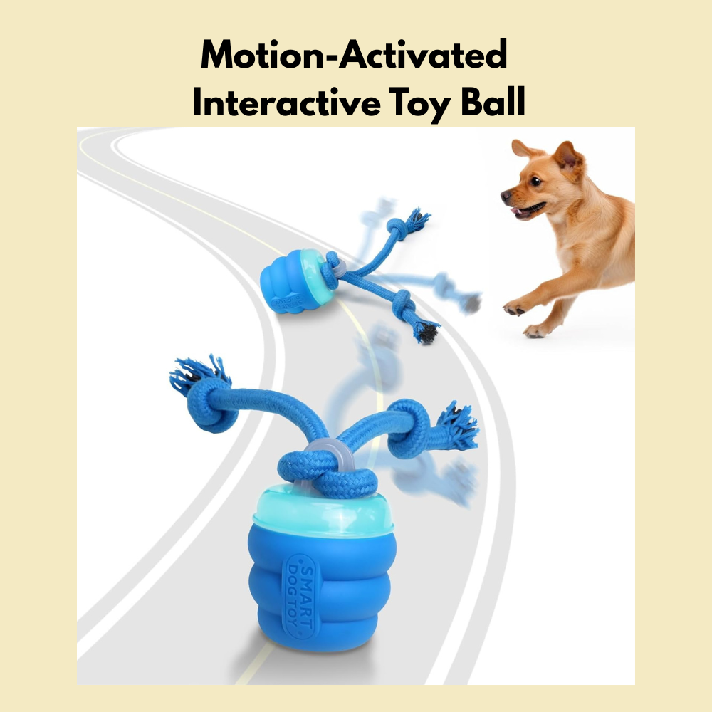 Motion Activated Squeaky Toy