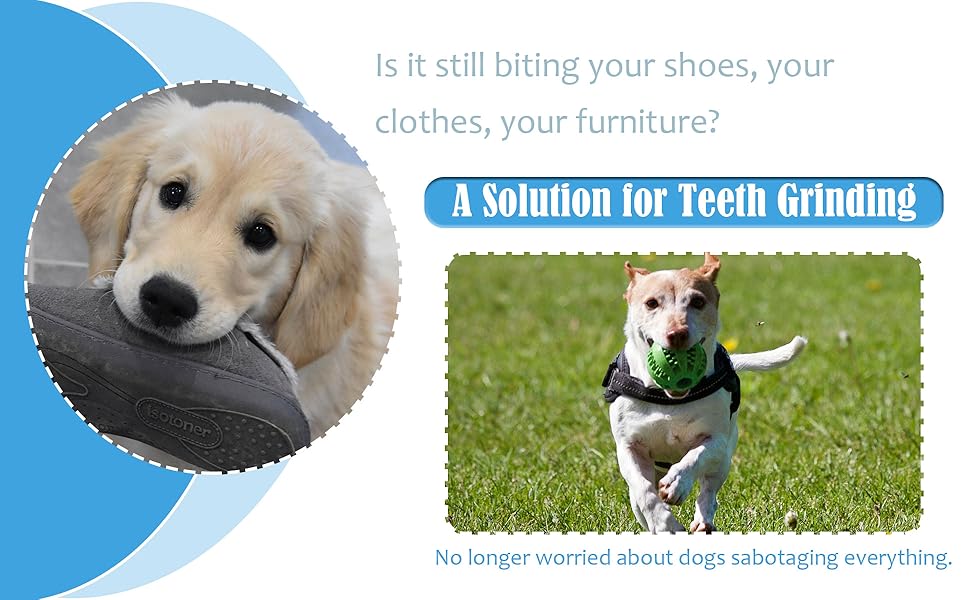 Interactive Treat Holder -Dental Ball